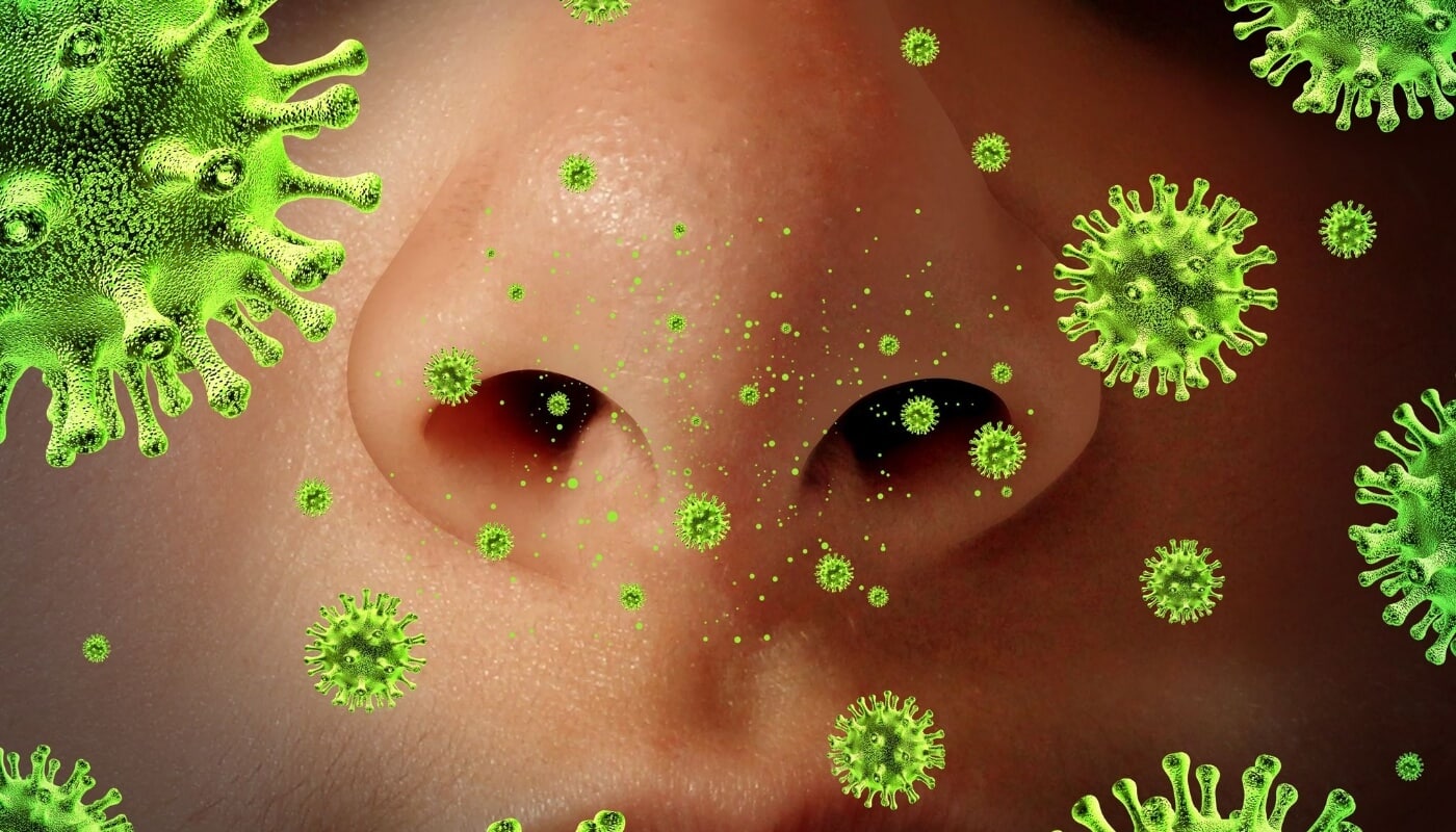 Allergens Close Up Of Nose Allergens Close Up Of Nose